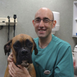 Hospital Veterinario Nacho Menes